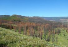 Researchers part of team that points to strong connection between climate change Researchers part of team that points to strong connection between climate change