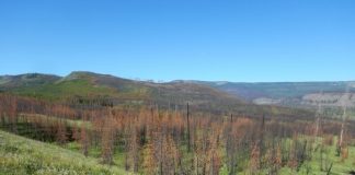 Researchers part of team that points to strong connection between climate change Researchers part of team that points to strong connection between climate change