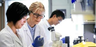 Scientists identify core genetic networks driving human embryonic stem cell behavior Scientists identify core genetic networks driving human embryonic stem cell behavior