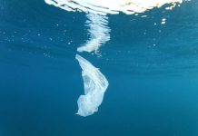 Study reveals how much plastic debris is currently floating in the Mediterranean Sea Study reveals how much plastic debris is currently floating in the Mediterranean Sea