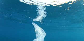 Study reveals how much plastic debris is currently floating in the Mediterranean Sea Study reveals how much plastic debris is currently floating in the Mediterranean Sea