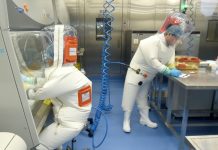 Chinese scientists develop cheap gene sequencing methodology Chinese scientists develop cheap gene sequencing methodology