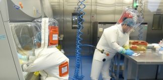 Chinese scientists develop cheap gene sequencing methodology Chinese scientists develop cheap gene sequencing methodology