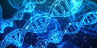 Genomic data shows that humans do not mate completely at random Genomic data shows that humans do not mate completely at random