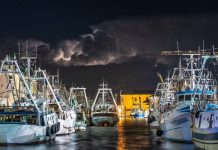 Nearly 300 researchers ask the WTO to ban harmful fisheries subsidies Nearly 300 researchers ask the WTO to ban harmful fisheries subsidies