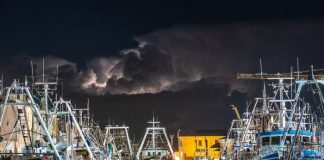 Nearly 300 researchers ask the WTO to ban harmful fisheries subsidies Nearly 300 researchers ask the WTO to ban harmful fisheries subsidies