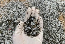 Research outlines challenges to ongoing clean-up of burnt and unburnt nurdles along Sri Lanka’s coastline Research outlines challenges to ongoing clean-up of burnt and unburnt nurdles along Sri Lanka’s coastline
