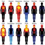 Researchers produce first topographical maps of human emotion Researchers produce first topographical maps of human emotion