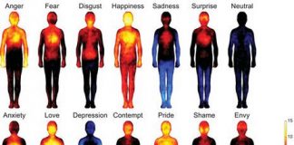 Researchers produce first topographical maps of human emotion Researchers produce first topographical maps of human emotion