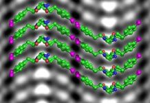 Researchers zoom in on the atomic structure of artificial proteins Researchers zoom in on the atomic structure of artificial proteins