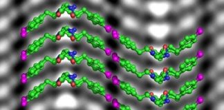 Researchers zoom in on the atomic structure of artificial proteins Researchers zoom in on the atomic structure of artificial proteins