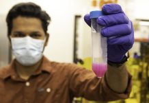 Scientists develop novel 3D printing technique to engineer biofilms Scientists develop novel 3D printing technique to engineer biofilms