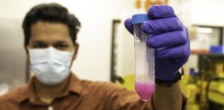 Scientists develop novel 3D printing technique to engineer biofilms Scientists develop novel 3D printing technique to engineer biofilms