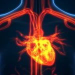 Scientists find benefits and drawbacks to two-step surgical approach for “leaky heart valves” Scientists find benefits and drawbacks to two-step surgical approach for “leaky heart valves”