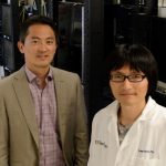 Scientists reveal how value decisions are coded into our brains Scientists reveal how value decisions are coded into our brains