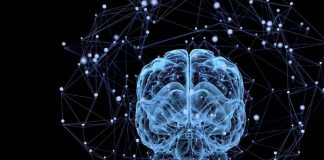 Unrelated memories connected artificially for the first time Unrelated memories connected artificially for the first time