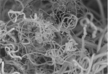 Viable method developed to convert CO2 to carbon nanofibers Viable method developed to convert CO2 to carbon nanofibers