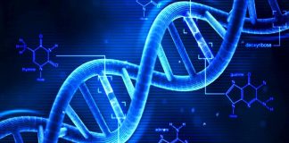 Genetic basis for differences in income discovered Genetic basis for differences in income discovered