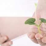 Infertility treatments do not increase risk of developmental delays Infertility treatments do not increase risk of developmental delays