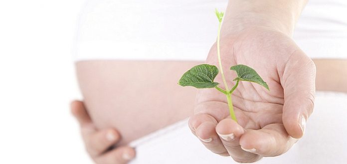 Infertility treatments do not increase risk of developmental delays Infertility treatments do not increase risk of developmental delays