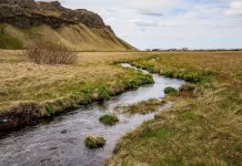 New project to help researchers mitigate risks of environmental pollutants New project to help researchers mitigate risks of environmental pollutants