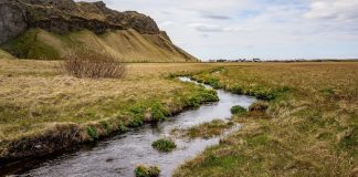 New project to help researchers mitigate risks of environmental pollutants New project to help researchers mitigate risks of environmental pollutants