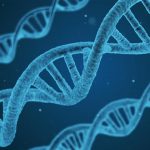 New research finds genetic defect linking PCOS and insulin resistance New research finds genetic defect linking PCOS and insulin resistance