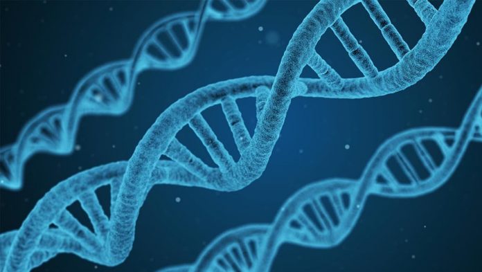 New research finds genetic defect linking PCOS and insulin resistance