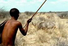 Preferred hunting method in man found to be millions of years old Preferred hunting method in man found to be millions of years old