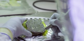 Research: How DNA is preserved in archaeological sediments for thousands of years Research: How DNA is preserved in archaeological sediments for thousands of years