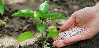 Research clarifies nitrogen’s impact on soil carbon sequestration Research clarifies nitrogen’s impact on soil carbon sequestration