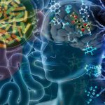 Researchers identify gut-derived metabolites that play a role in neurodegeneration Researchers identify gut-derived metabolites that play a role in neurodegeneration