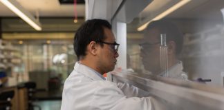 Scientists develop advanced catalysts for clean hydrogen production Scientists develop advanced catalysts for clean hydrogen production