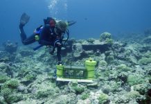 Scientists test physics of coral as an indicator of reef health Scientists test physics of coral as an indicator of reef health