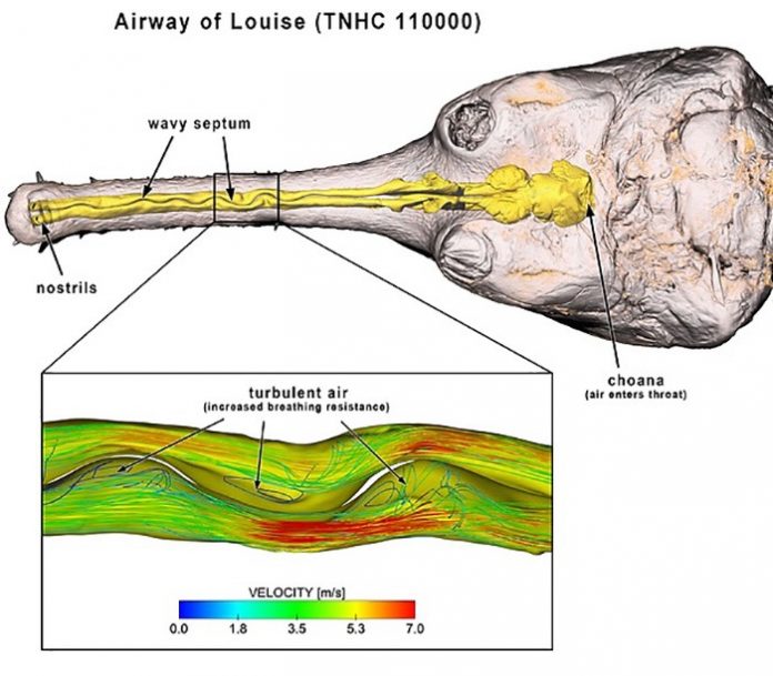 Study finds nasal problem plagued long-nosed crocodile relatives