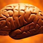 Study shows exposure to anesthesia produces brain changes in infants Study shows exposure to anesthesia produces brain changes in infants