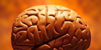 Study shows exposure to anesthesia produces brain changes in infants Study shows exposure to anesthesia produces brain changes in infants