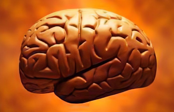 Study shows exposure to anesthesia produces brain changes in infants