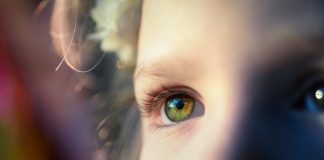 Autistic Traits and Sensory Experiences in Adults Autistic Traits and Sensory Experiences in Adults
