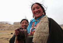 Denisovan DNA gives Tibetans a high-altitude advantage Denisovan DNA gives Tibetans a high-altitude advantage