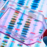 Geneticists turn mouse brains into primate brains Geneticists turn mouse brains into primate brains