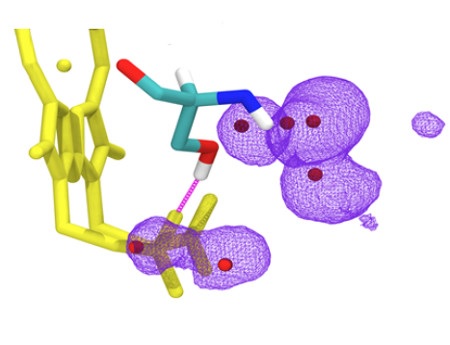 JU researchers study untypical haem properties in a mutated protein