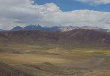 New discoveries show Tibet was the source of Ice Age fauna New discoveries show Tibet was the source of Ice Age fauna