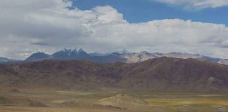 New discoveries show Tibet was the source of Ice Age fauna New discoveries show Tibet was the source of Ice Age fauna
