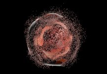 Programmed cell death shown to be 550 million years old Programmed cell death shown to be 550 million years old