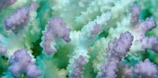 Research: New £10m centre to explore links between organisms and their microbiomes Research: New £10m centre to explore links between organisms and their microbiomes