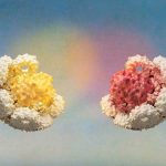 Researchers unveil programmable biological cages Researchers unveil programmable biological cages