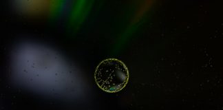 Scientists develop a model of yeast nuclear pore complex Scientists develop a model of yeast nuclear pore complex