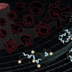 Scientists identify proteins that could predict liver transplant rejection Scientists identify proteins that could predict liver transplant rejection