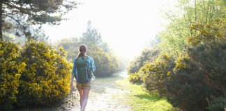 Walk off depression and beat stress by getting outside for a group nature walk Walk off depression and beat stress by getting outside for a group nature walk